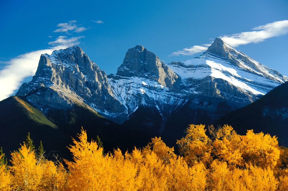 B&B Falcon Crest Lodge 1Br 1Pullout Canmore Eksteriør bilde