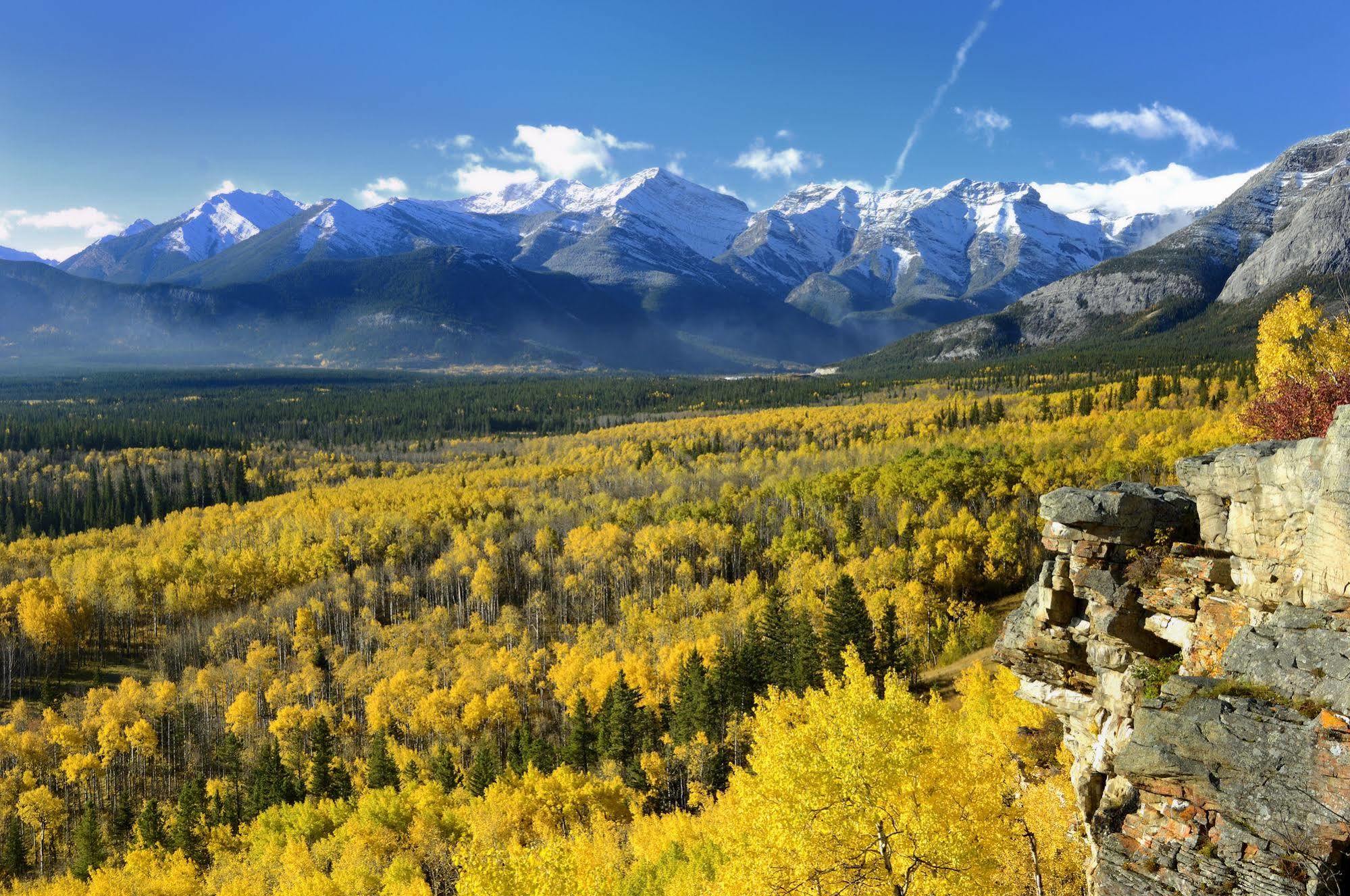 B&B Falcon Crest Lodge 1Br 1Pullout Canmore Eksteriør bilde